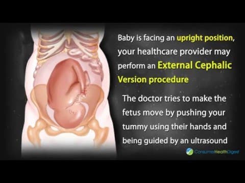 Fetal development at 36 weeks