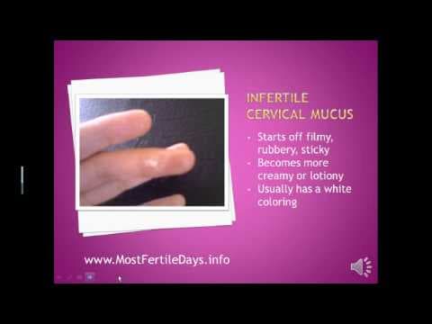 Checking Cervical Mucus