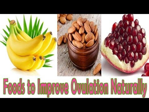 Foods for ovulation Stimulation | 9 Foods to Improve Ovulation Naturally