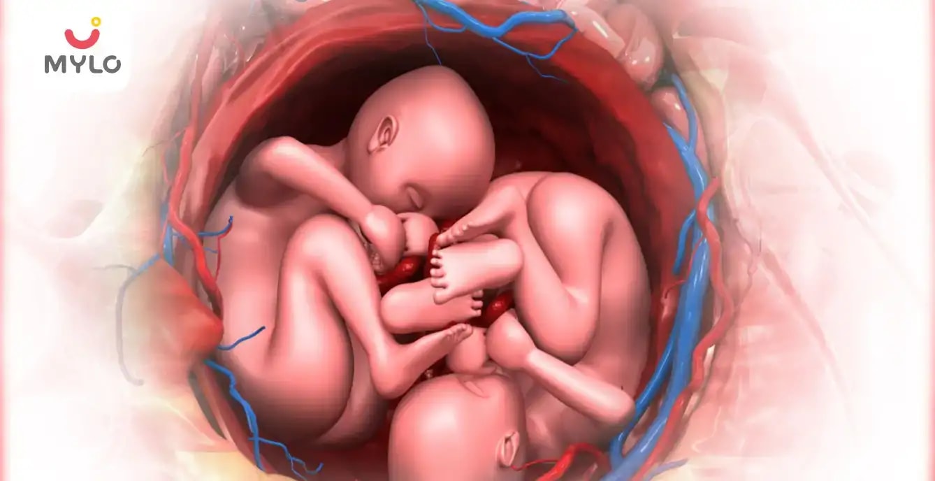 Images related to గర్భంలోని మీ కవలల అభివృద్ధి విషయంలో ఎనిమిదవ వారంలో ఏమి ఆశించాలి? (What to Expect in 8th Week of Twin Pregnancy in Telugu?)