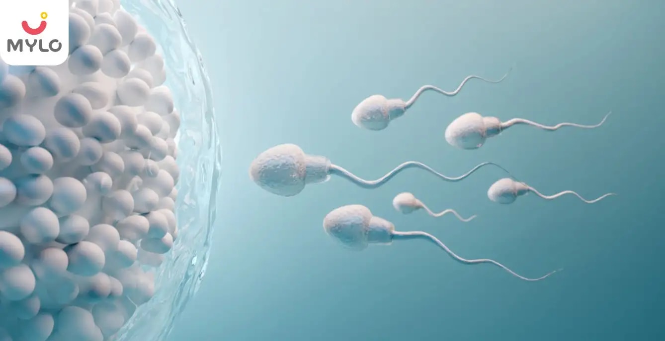 গর্ভাবস্থার তথ্য : গর্ভাবস্থার সময় শুক্রাণু কোথায় যায়?