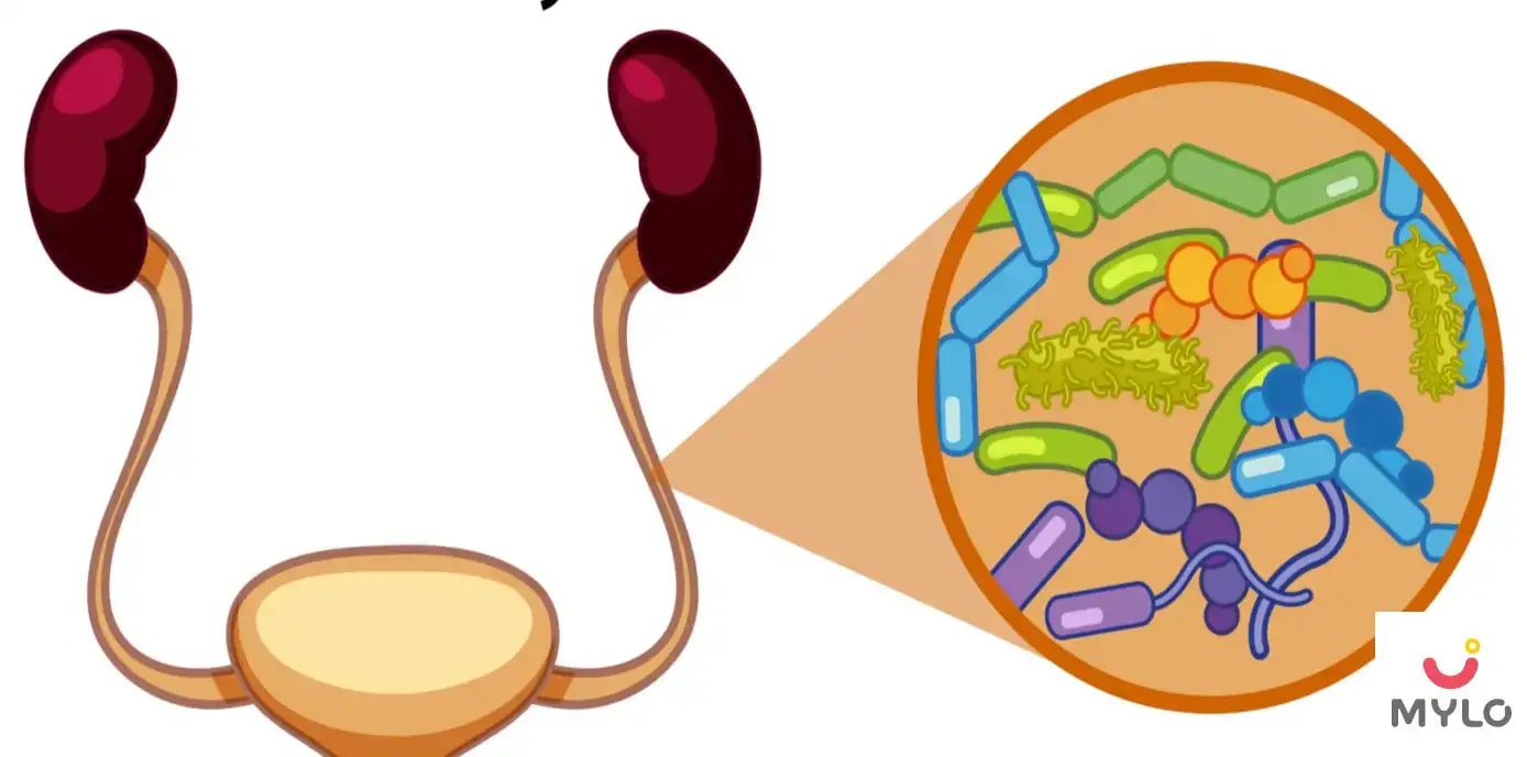 গর্ভাবস্থায় মূত্রনালীর সংক্রমণ: উপসর্গ ও প্রতিরোধ (Urinary Tract Infection (UTI): Symptoms & Treatment in Bengali)