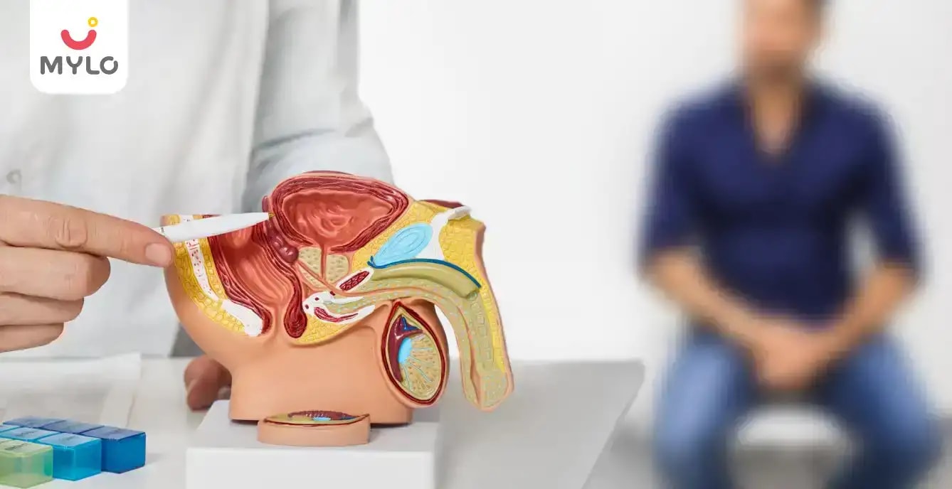 Images related to অ্যান্ড্রোলজি কী?