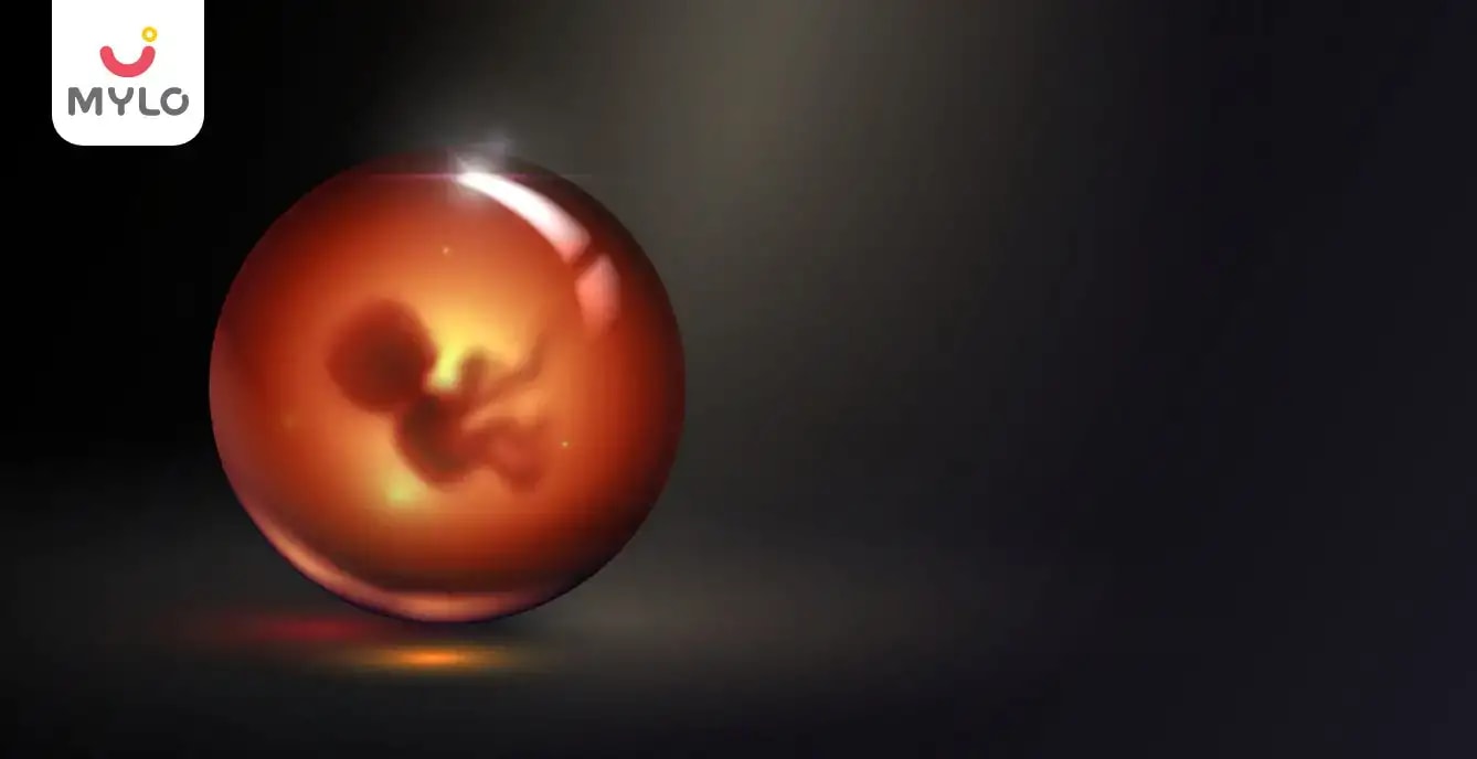 Images related to గర్భంలో ఉన్న బిడ్డ జనన అవయవాలు ఎప్పుడు అభివృద్ధి చెందుతాయి? (When Do Sex Organs Develop During Pregnancy in Telugu?)