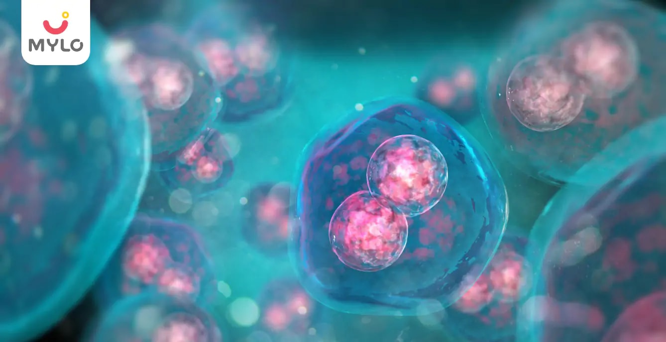 Improve Egg Quality in 30 Days: The Ultimate Guide to Boosting Your Fertility Naturally