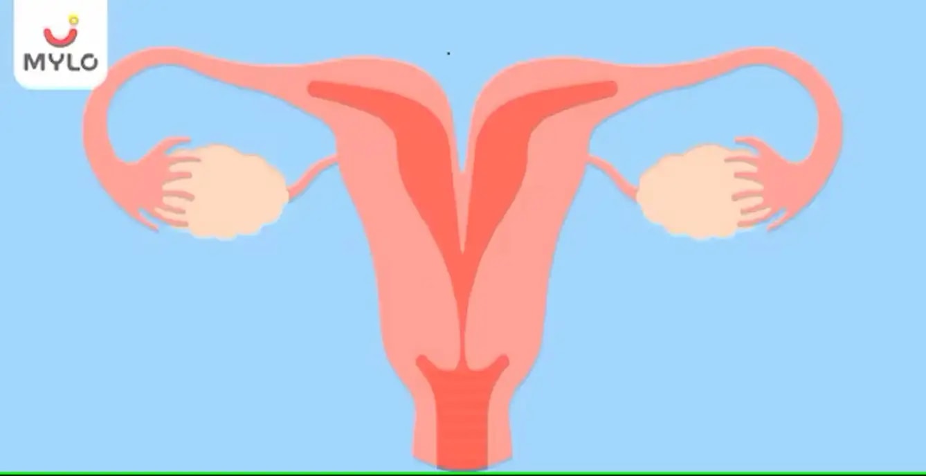 பைகார்னேட்டட் கருப்பை: பொருள், அறிகுறிகள் & அபாயங்கள்(Bicornuate Uterus: Meaning, Symptoms & Risks  In Tamil)