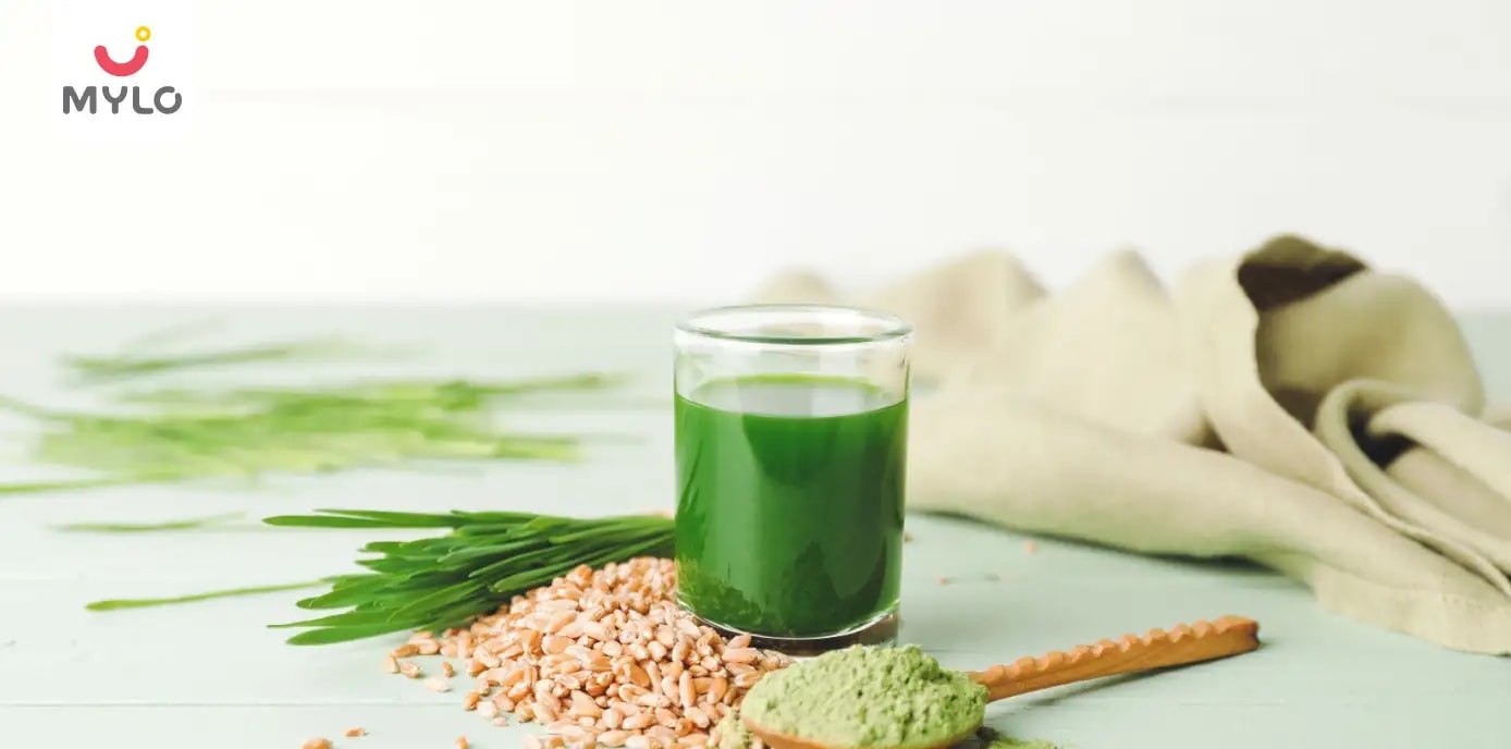 6 Ways Wheatgrass Powder Can Help You Manage Your Diabetes & Reduce Blood Sugar Levels 
