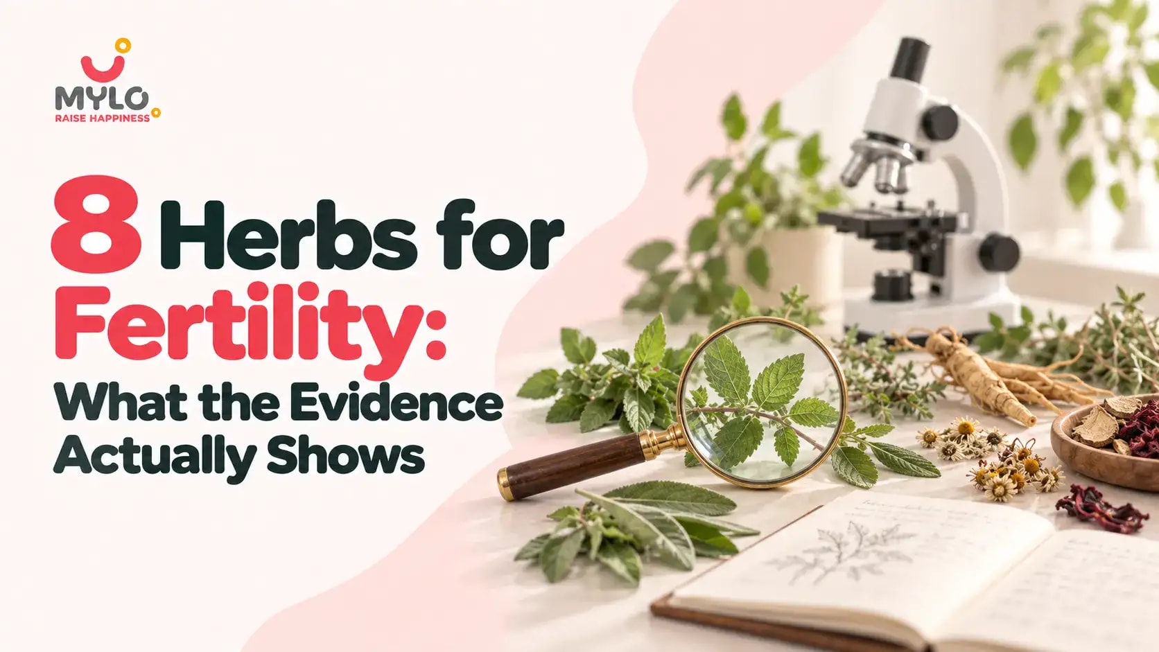 8 Herbs for Fertility: What the Evidence Actually Shows