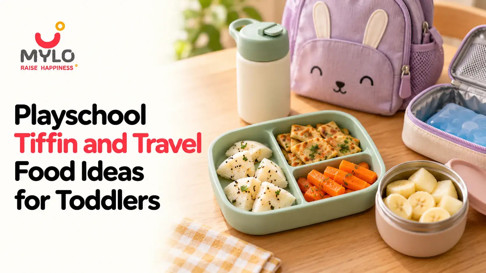 Playschool Tiffin and Travel Food Ideas for Toddlers