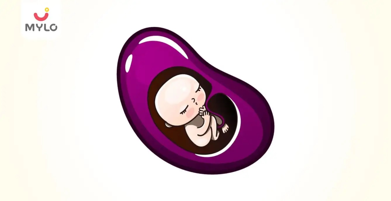 স্বাভাবিক গর্ভাবস্থায় একটি 8 সপ্তাহের শিশুর আকার কতখানি?