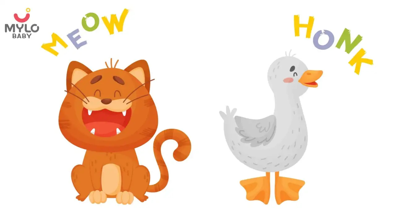 Animal Sounds Library for Making Young Children Learn 