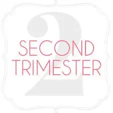 दूसरे तिमाही के बारे में आपको जो कुछ जानने की आवश्यकता है, वह यहां है