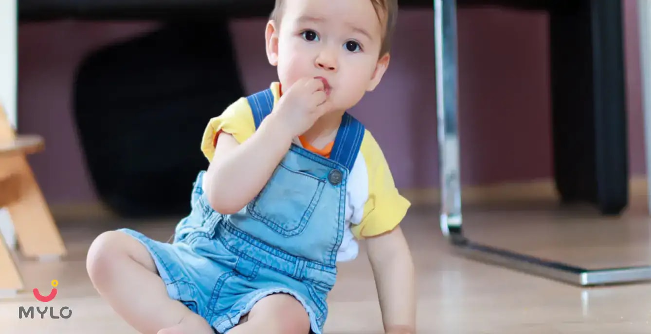 11 Month Old Baby Food Chart/Meal Plan – Week 2 