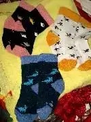 Baby Socks 6-12 Months | Elasticated & Antibacterial | Breathable, Shrinkable, Sweat & Wear Resistant | Unisex Dino | Pack of 3