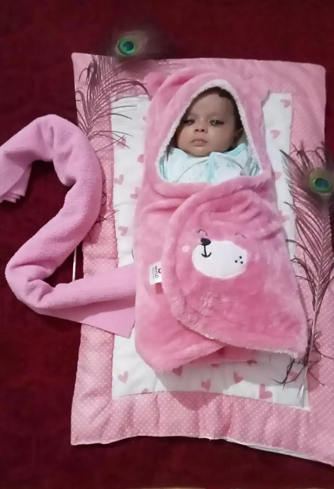 Baby Wrapper for New Born | Baby Swaddling Wrapper | 4-in-1 All Season AC Blanket cum Sleeping Bag for Baby 0-6 Months - Light Pink & Mint Green