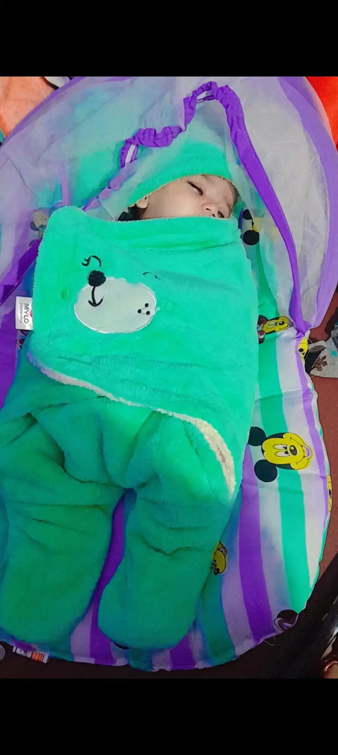 Baby Wrapper for New Born | Baby Swaddling Wrapper | 4-in-1 All Season AC Blanket cum Sleeping Bag for Baby 0-6 Months - Light Pink & Mint Green