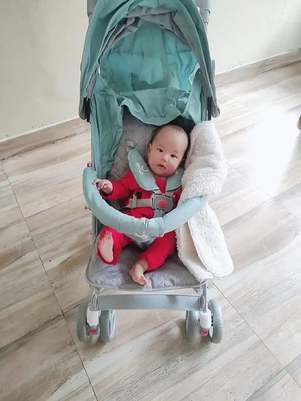 Vista Ultra-Light Baby Stroller for 0-3 Year | Baby Pram for Toddlers & Kids | 5 Point Safety Harness | Front Wheel Swivel Function | Umbrella Fold - Green & Grey