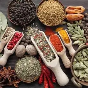 গমঘাস পাউডার: ব্যবহার, উপকারিতা এবং পার্শ্ব প্রতিক্রিয়া