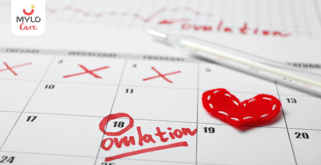 Images related to లేట్ ఓవులేషన్: ఇది మీ సంతానోత్పత్తి మరియు గర్భధారణ అవకాశాలను ఎలా ప్రభావితం చేస్తుంది  | Late Ovulation in Telugu