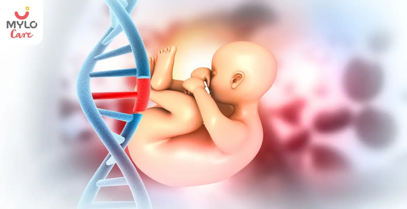 கருப்பையில் இருக்கும் உங்கள் குழந்தைக்கு எப்போது பாலியல் உறுப்புகள் உருவாகும்? I When Do Sex Organs Develop In Your Baby In The Womb in Tamil? 