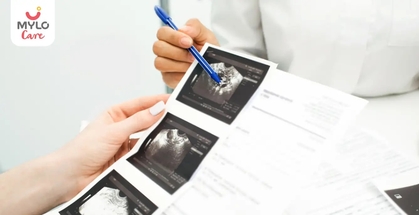 ஃபோலிகுலர் ஆய்வைப் புரிந்துகொள்வது: பெண் கருவுறாமைக்கான விரிவான வழிகாட்டி I Understanding Follicular Study: A Comprehensive Guide to Female Fertility in Tamil