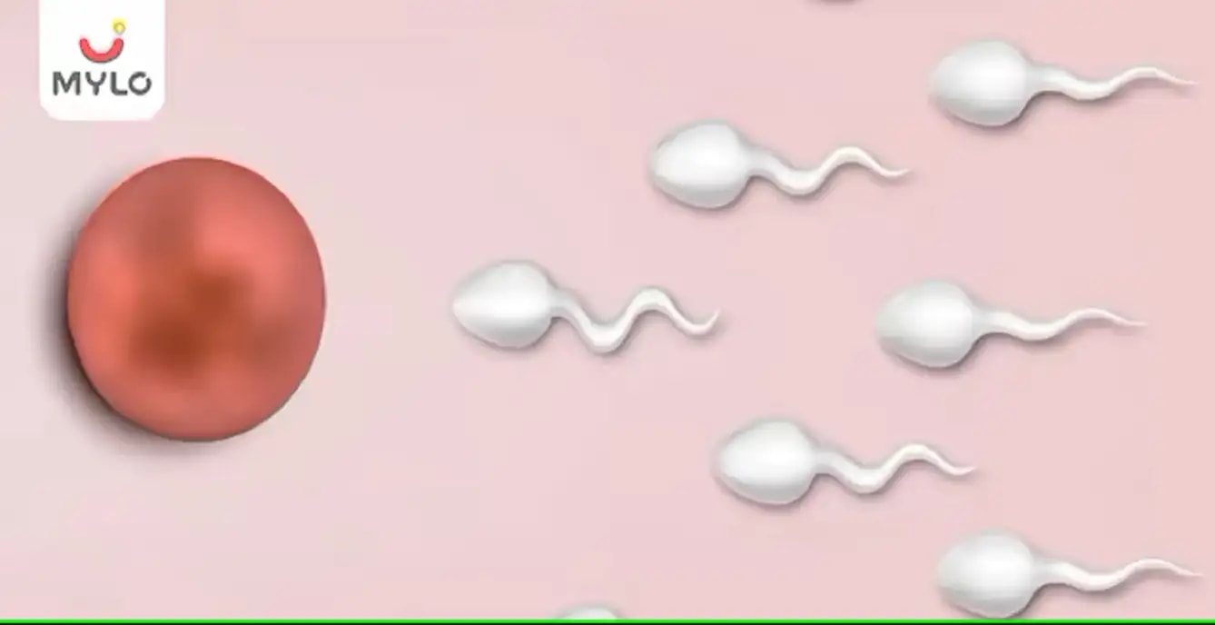 உயிரணு மூலமாக கருத்தறித்தல் மற்றும் கர்ப்பம் எப்படி உண்டாகிறது?