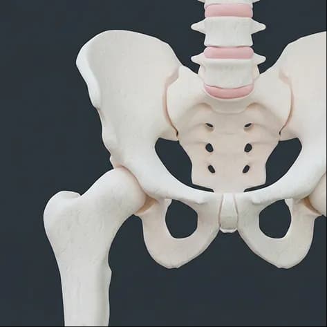 Pelvic joint pain (SPD)