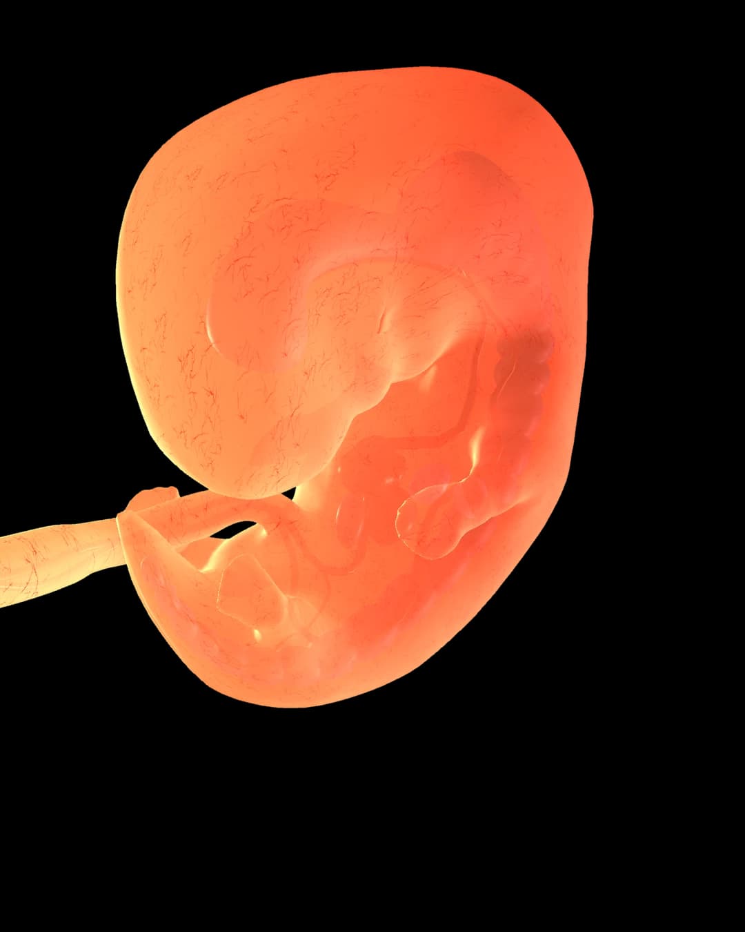 Baby at 12 weeks