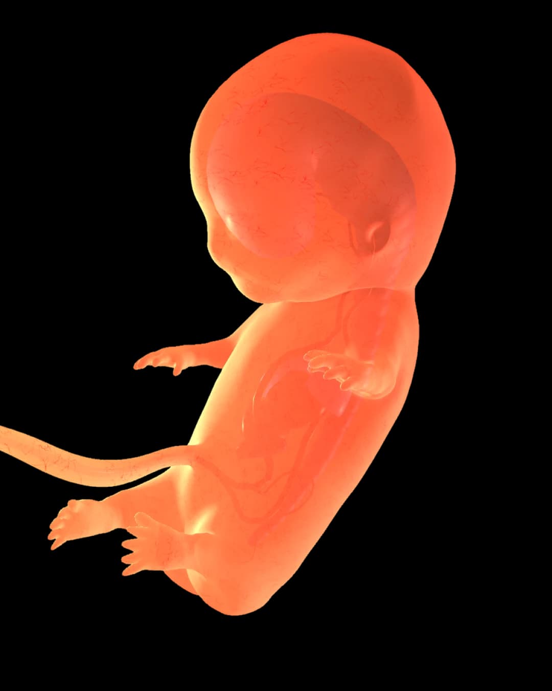 Baby at 24 weeks