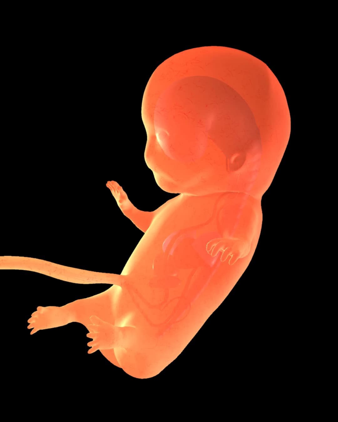 Baby at 25 weeks