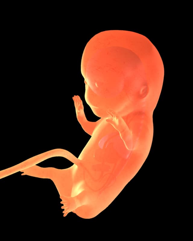 Baby at week 27