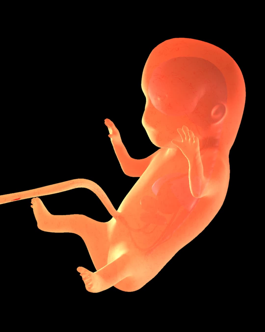 Baby at 29 weeks