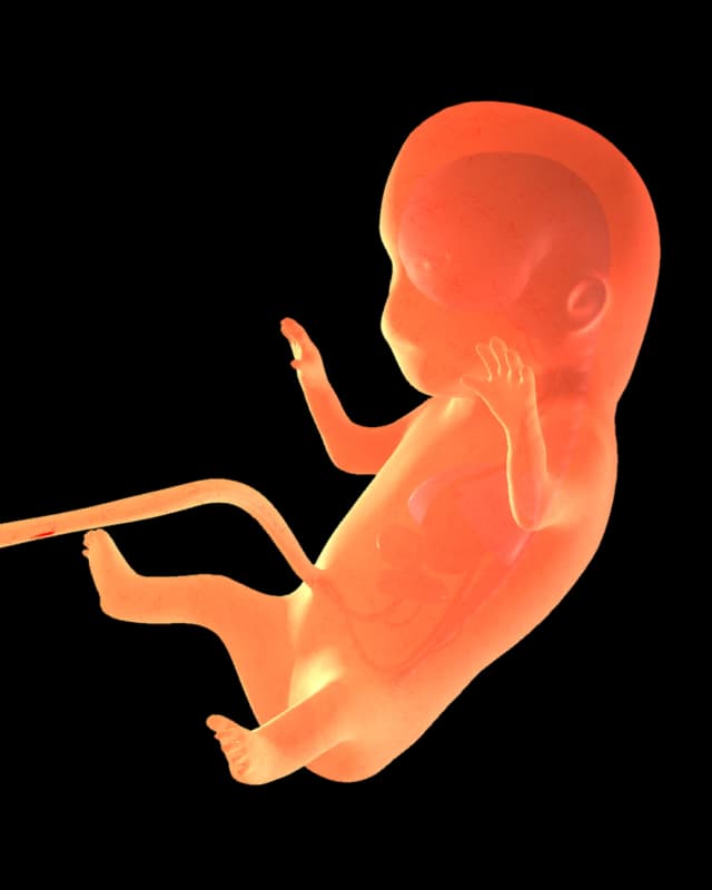 Baby at week 29