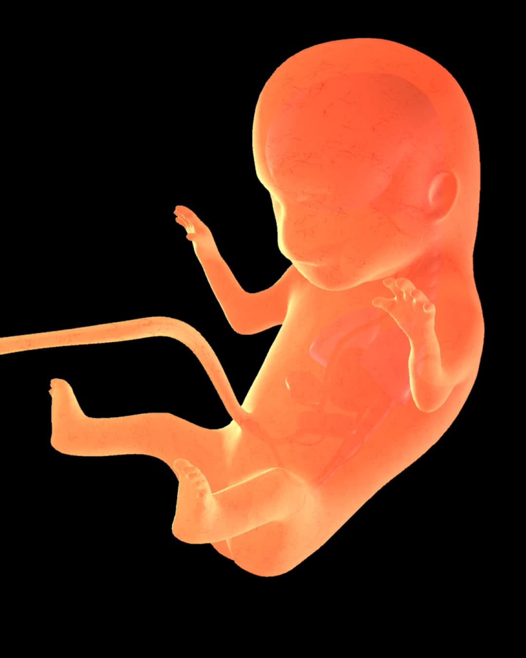 Baby at 30 weeks