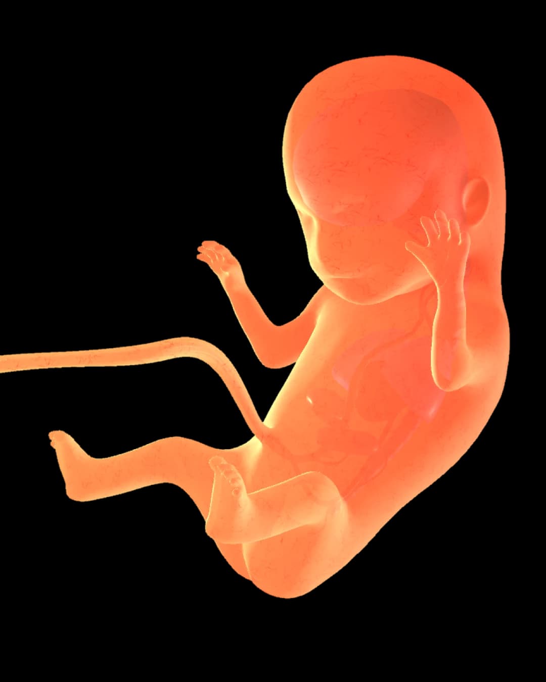Baby at 31 weeks