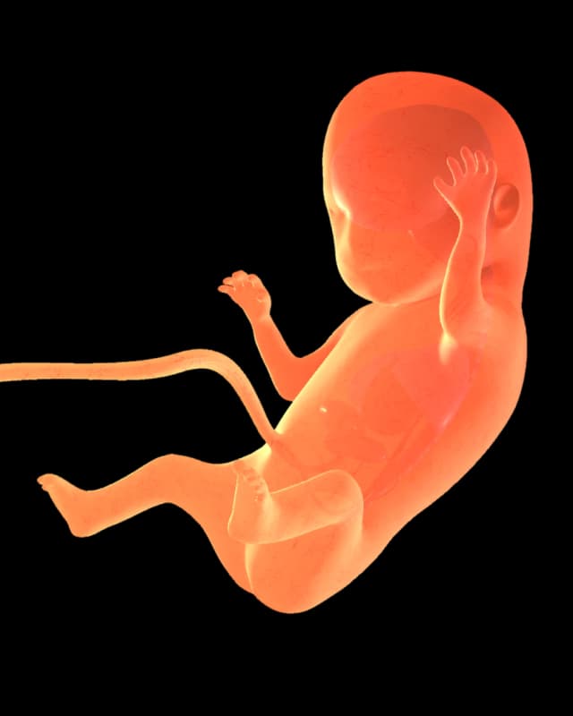 Baby at week 32
