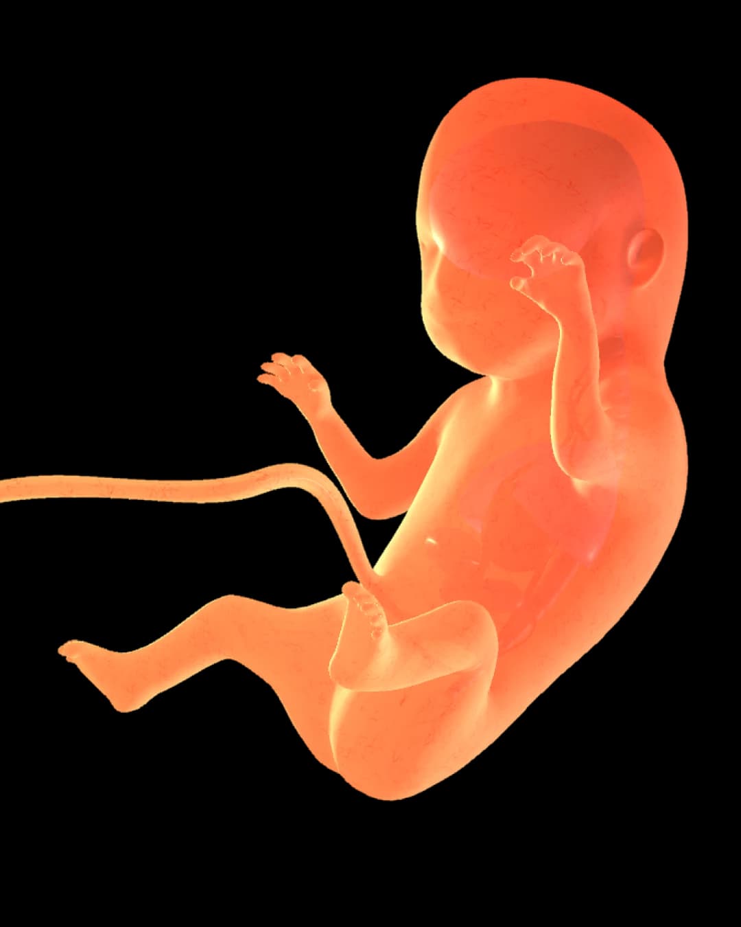 Baby at 33 weeks