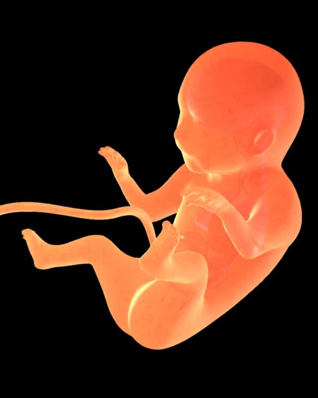 Baby at week 35