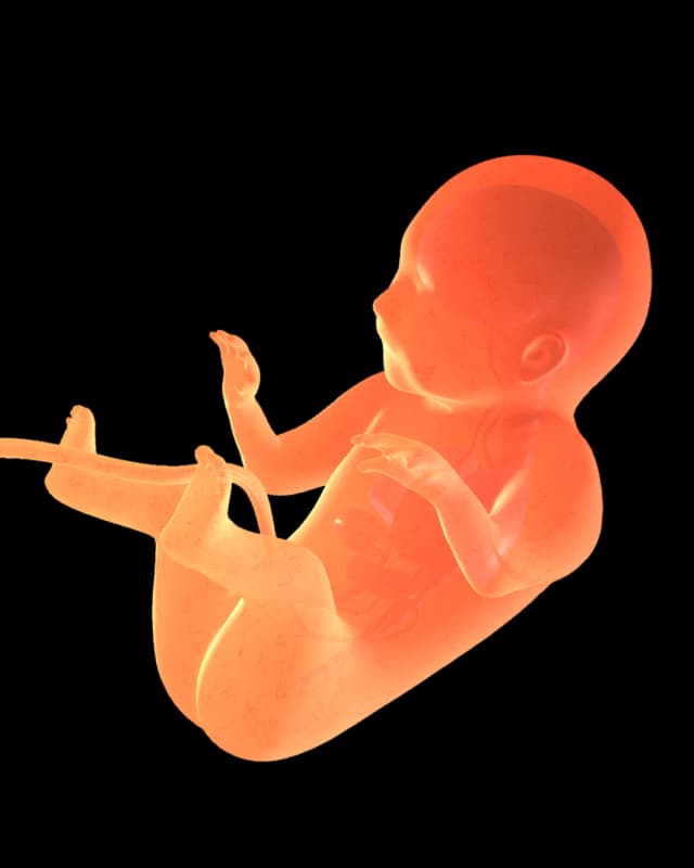 Baby at week 36