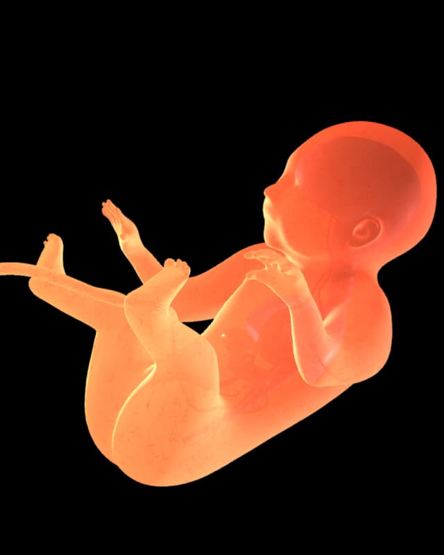 Baby at week 38