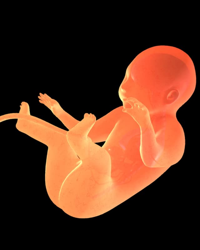 Baby at week 39