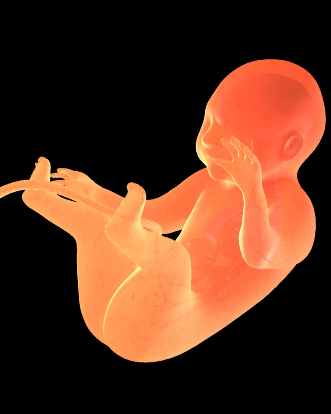 Baby at 41 weeks