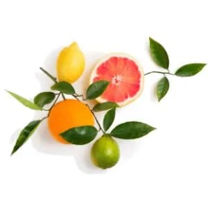 Multi-Fruit Extract Moisturizes and Nourishes Skin