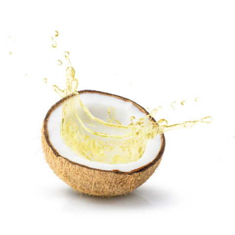 Coconut oil for protecting skin 