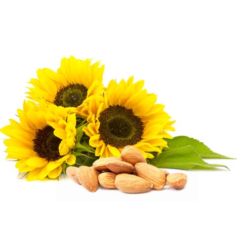 Almond & Sunflower Oil: Makes hair soft & shiny 
