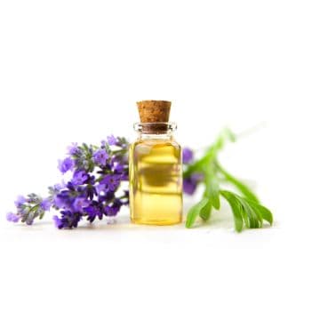 Lavender Essential Oil: Reduces Itchiness