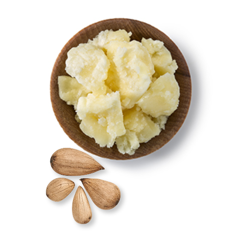 Murumuru Butter: Treats skin irritation & dryness
