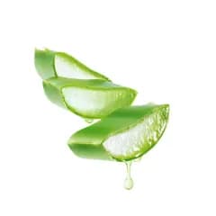 ageless eyes under eye cream 15gm aloe vera extracts plumps the skin