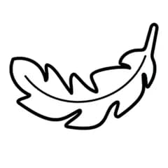 Ergonomic design chic and lightweight