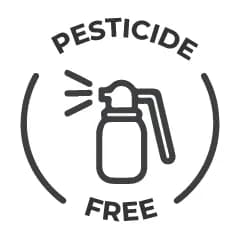 No Pesticides & Insecticides